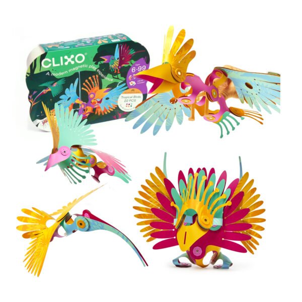 clixo tropical birds